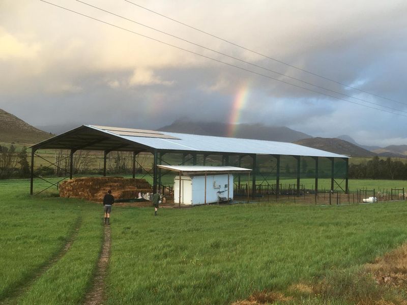 A large open-sided steel frame barn structure situated on a rural farm property with surrounding pasture land.
