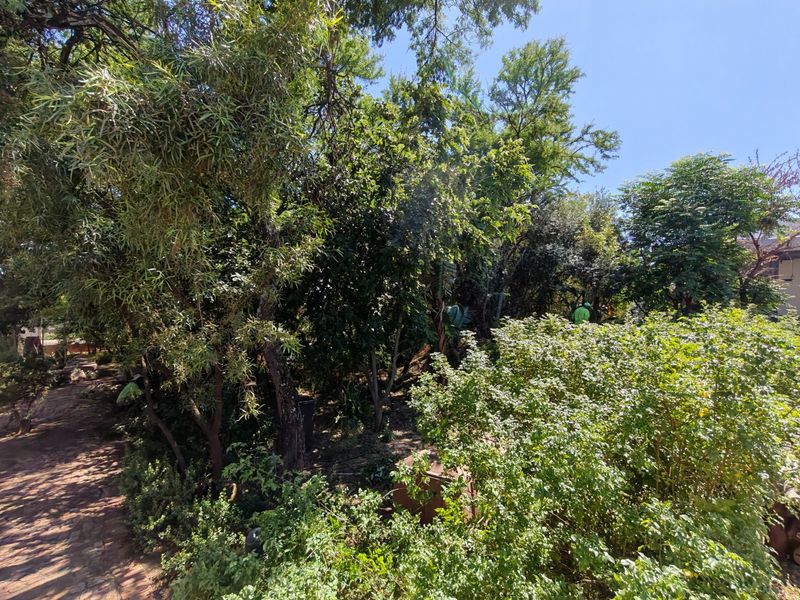 A lush, mature garden area featuring established trees, dense shrubbery, and a paved pathway winding through the greenery.