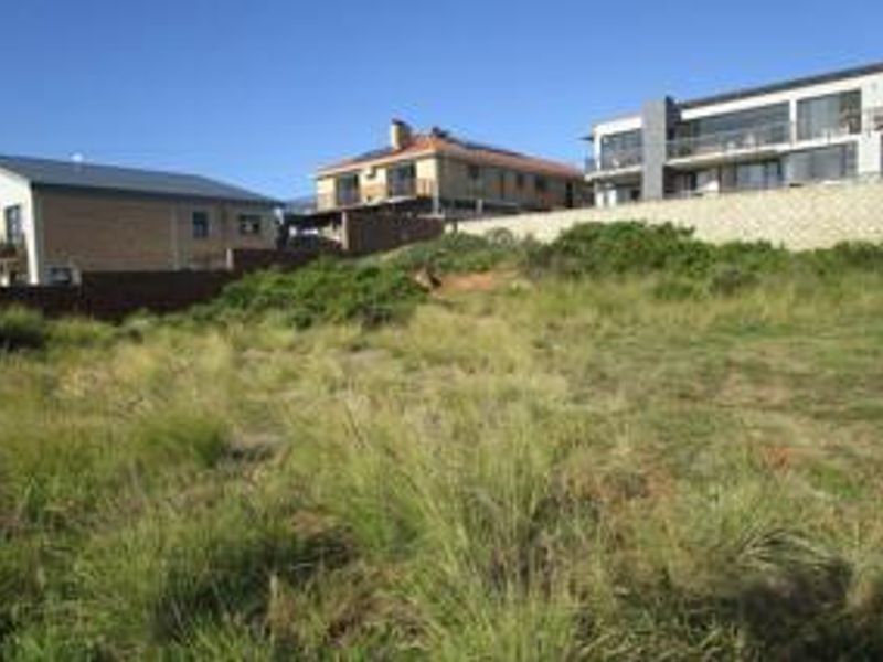 A vacant residential plot featuring natural vegetation, bordered by established boundary walls and neighboring residential properties.