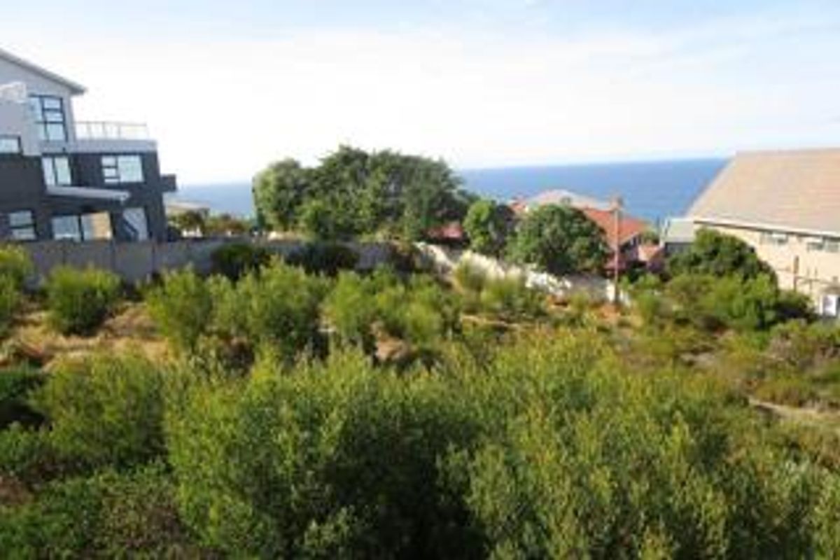 A view of a sloped residential plot featuring established vegetation and a backdrop of the ocean.