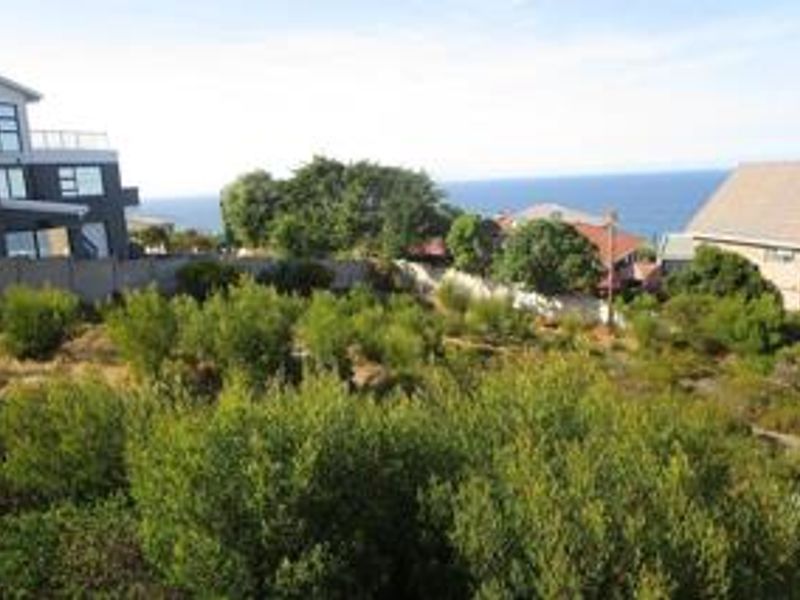 A view of a sloped residential plot featuring established vegetation and a backdrop of the ocean.