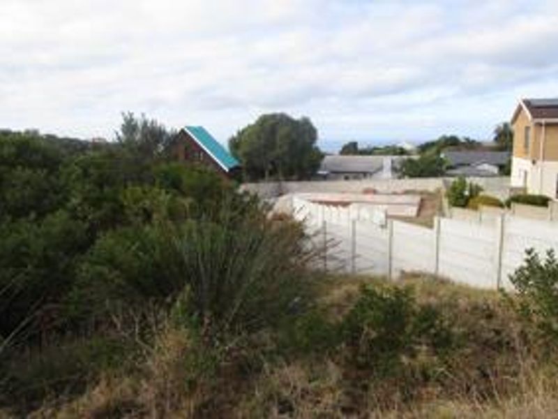 A view of the rear section of the vacant residential land, featuring established vegetation and a precast concrete boundary wall.