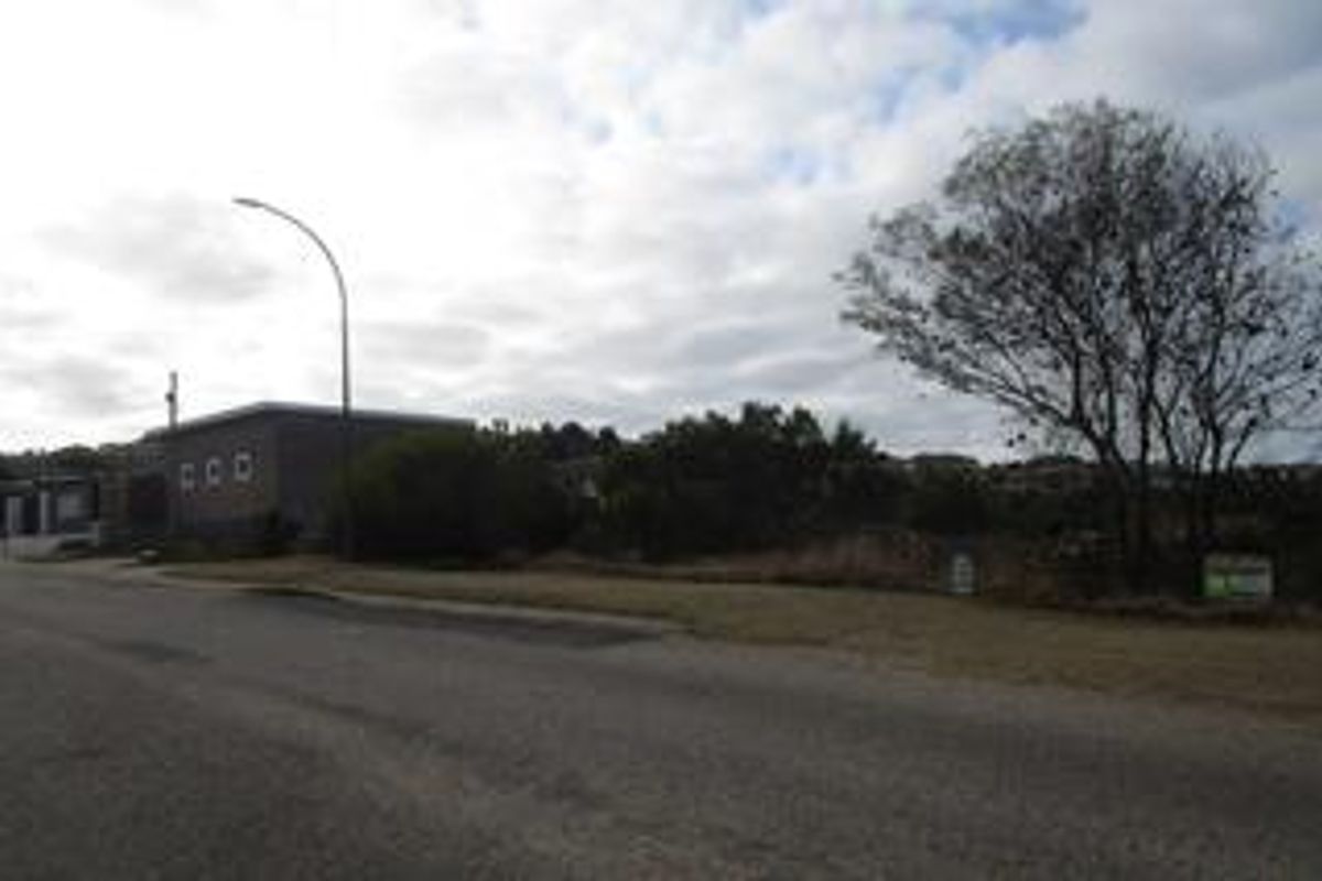 A street-level view of the vacant residential land, featuring established trees and direct access to the paved road.