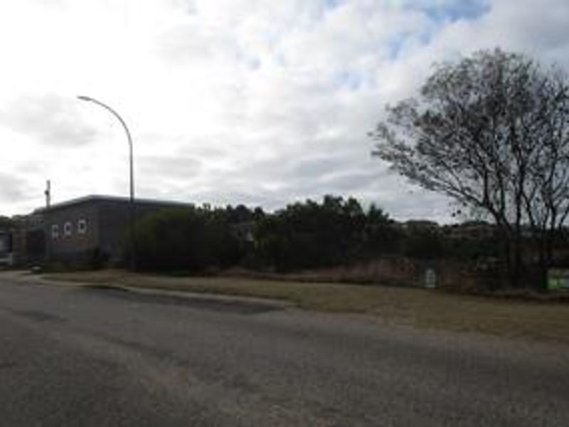 A street-level view of the vacant residential land, featuring established trees and direct access to the paved road.