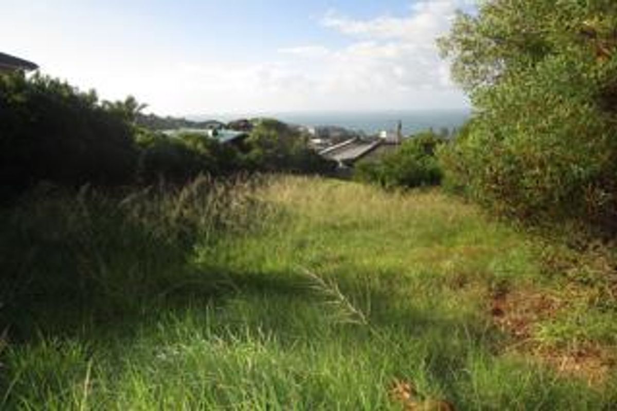 A view of a sloping residential vacant land plot with coastal vegetation and distant ocean outlook.