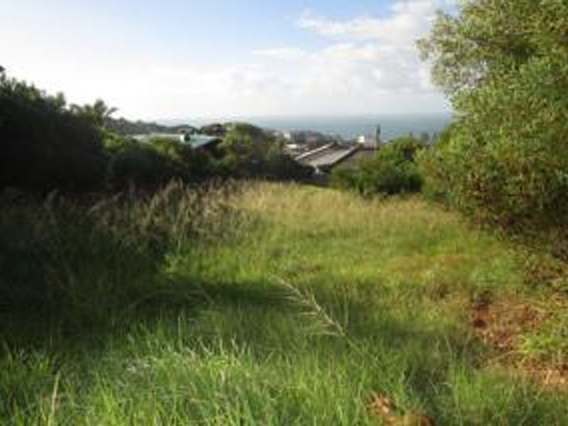 A view of a sloping residential vacant land plot with coastal vegetation and distant ocean outlook.