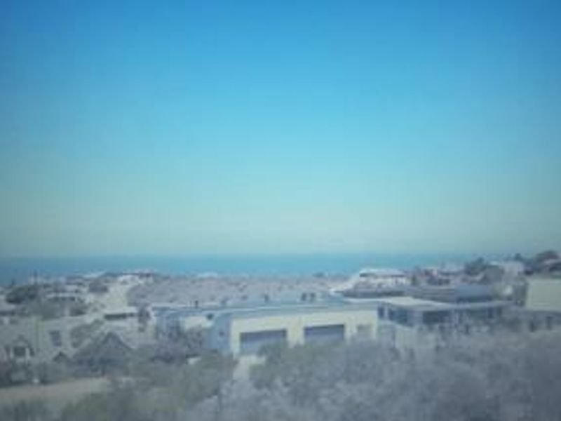 A distant elevated view of a coastal residential neighbourhood and the ocean horizon.