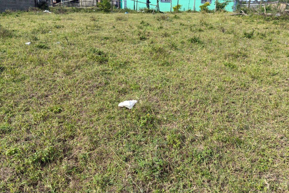 A view of a vacant residential plot featuring a grass lawn and surrounding boundary walls.