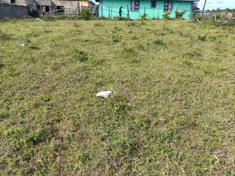 A view of a vacant residential plot featuring a grass lawn and surrounding boundary walls.