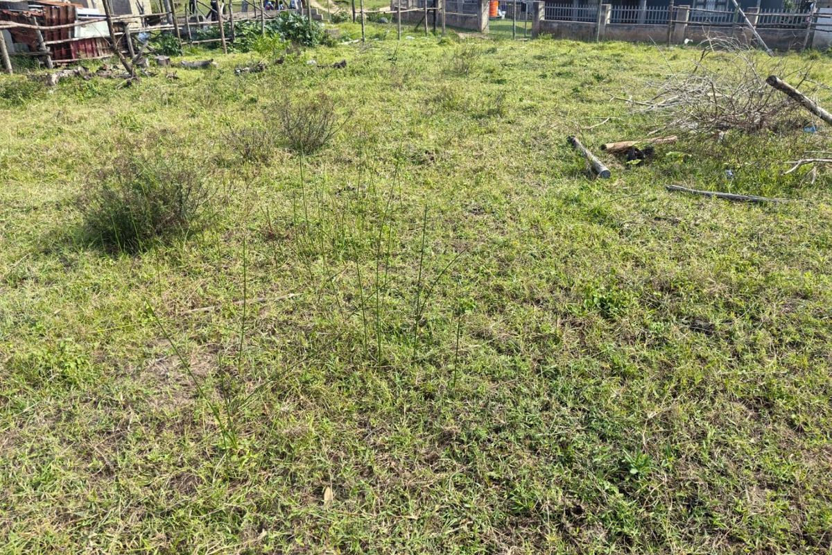 A view of a vacant residential plot featuring grassed land and perimeter fencing.