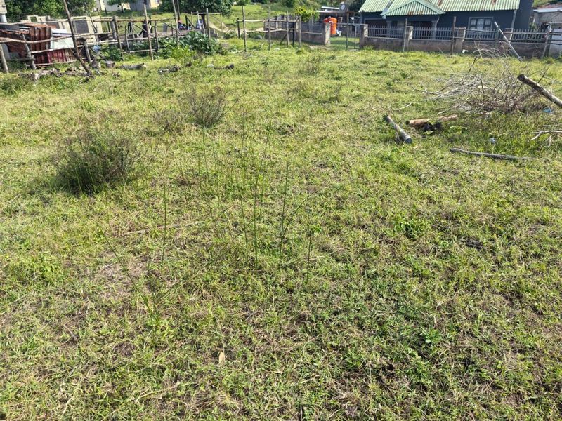A view of a vacant residential plot featuring grassed land and perimeter fencing.