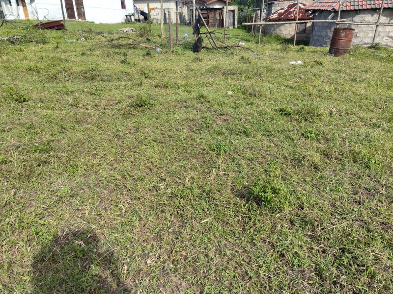 A view of a vacant residential plot featuring grass lawn and wire perimeter fencing.