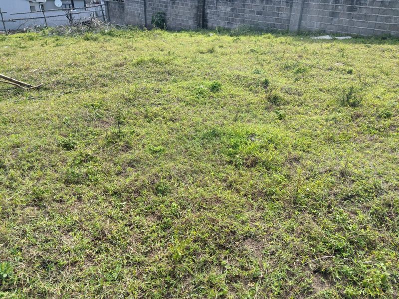 A vacant residential plot featuring a grass-covered surface and a concrete block boundary wall at the rear.