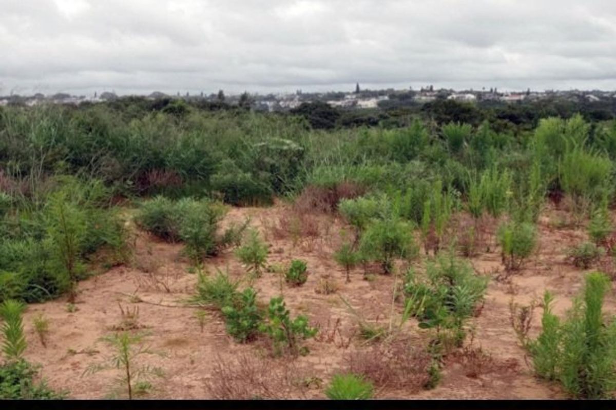 A view of an undeveloped residential plot featuring natural vegetation and sandy terrain with distant suburban views.
