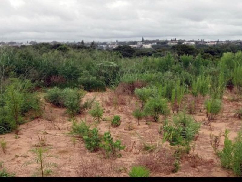 A view of an undeveloped residential plot featuring natural vegetation and sandy terrain with distant suburban views.
