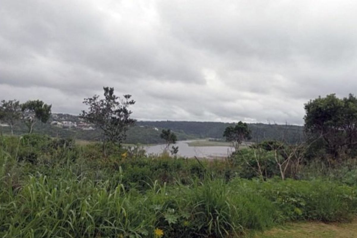 A scenic view of a natural landscape featuring native vegetation and a water body under an overcast sky.