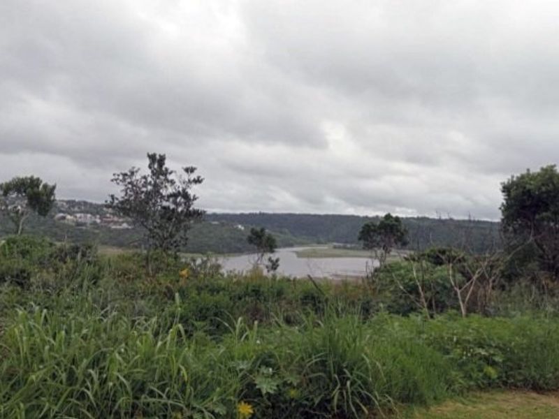 A scenic view of a natural landscape featuring native vegetation and a water body under an overcast sky.