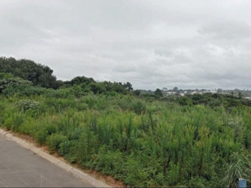 A vacant residential plot featuring natural vegetation, adjacent to a paved road with concrete curbing and an existing utility pole.