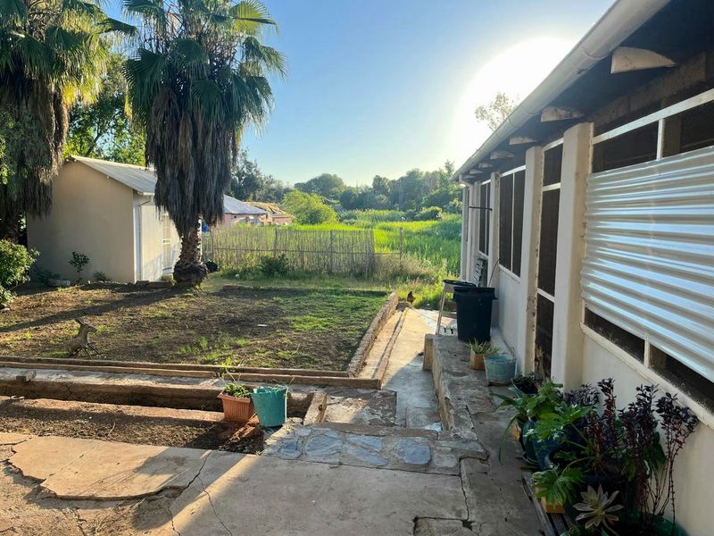 Rear exterior view of the property featuring a concrete patio area, corrugated metal wall cladding, and a garden space with an outbuilding.