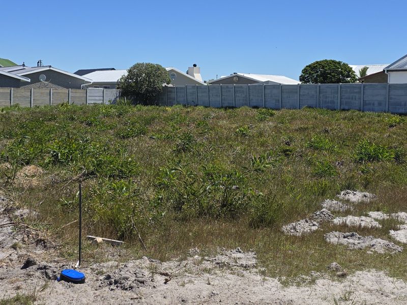 A vacant residential plot featuring natural vegetation and enclosed by a precast concrete boundary wall.