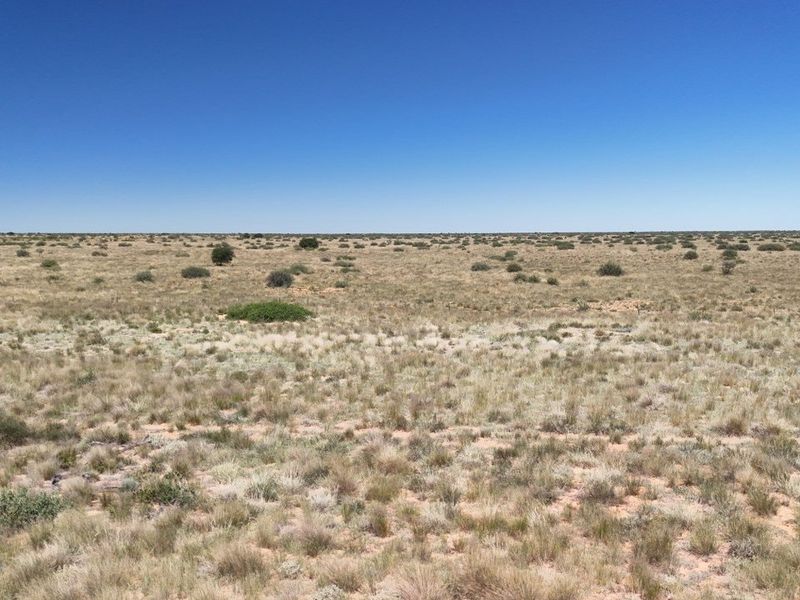 Expansive view of the open farm landscape featuring natural dry grassland and sparse vegetation under a clear blue sky.