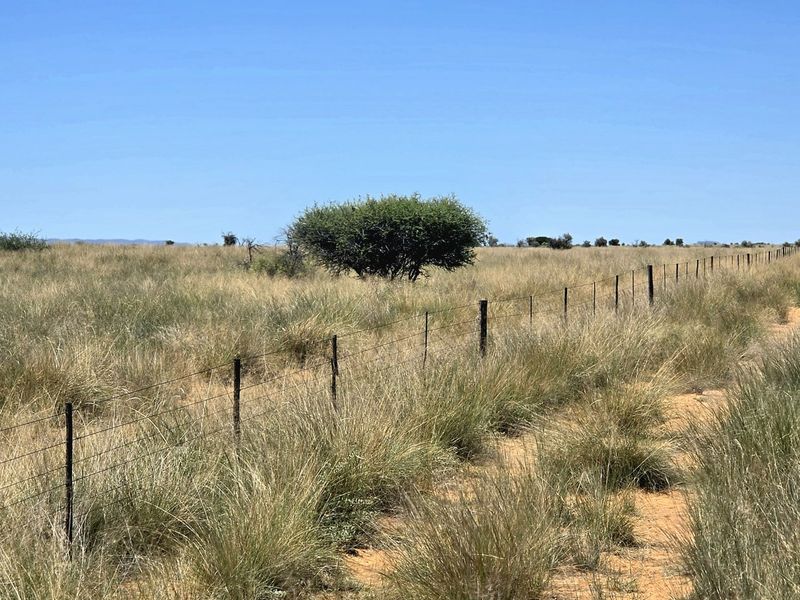 A view of the expansive farm landscape featuring natural grassland and a perimeter wire fence.