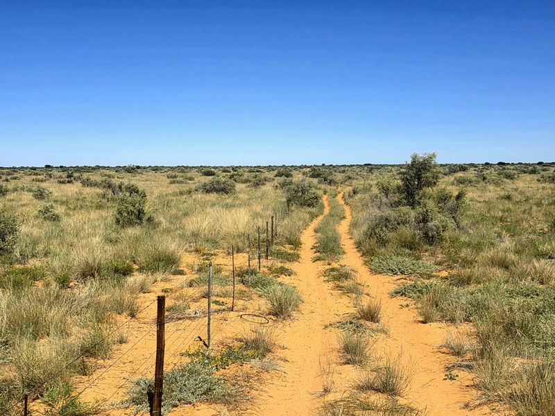Expansive view of the farm landscape featuring a dirt track and perimeter wire fencing across the open veld.