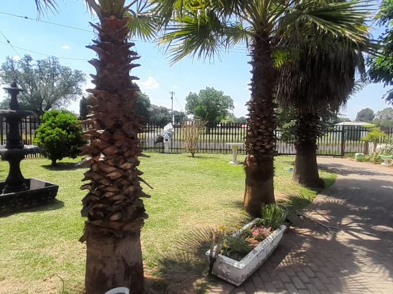 A spacious front garden featuring a paved driveway, mature palm trees, and a decorative stone water fountain enclosed by metal perimeter fencing.
