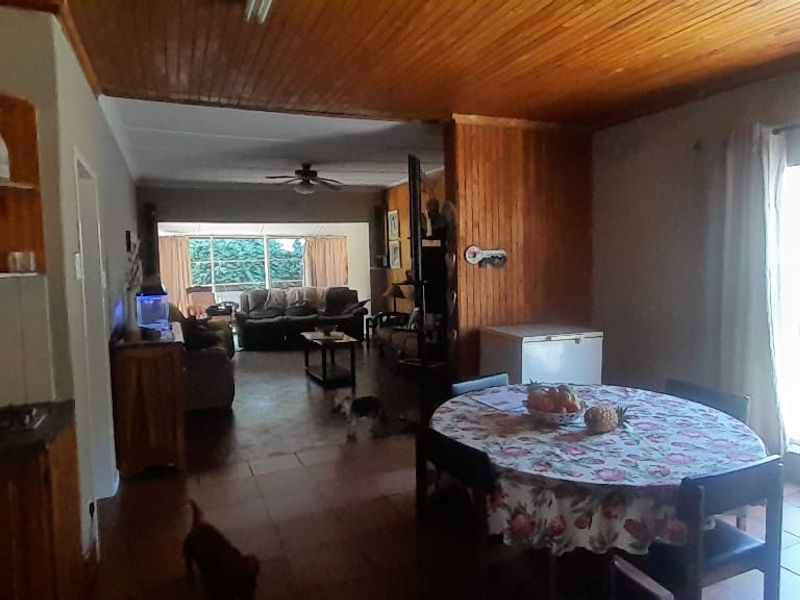 Open-plan living and dining area featuring timber ceiling paneling, tiled floors, and large windows providing natural light.