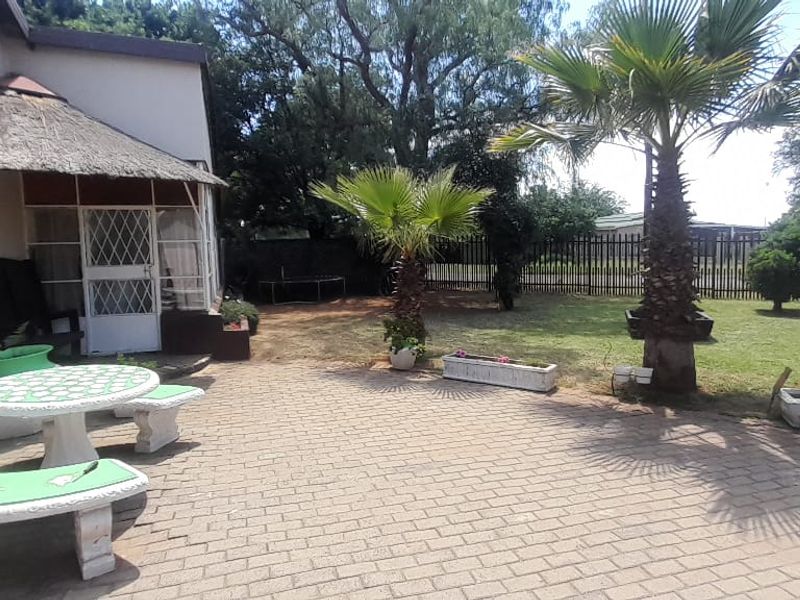 Rear garden featuring a paved patio area with a thatch canopy, established palm trees, and secure perimeter fencing.