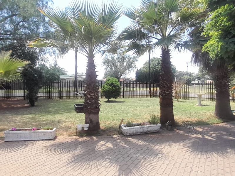 A spacious front garden area featuring a paved driveway, established palm trees, and secure metal perimeter fencing.