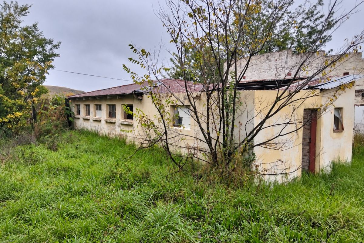 Rear view of a commercial structure showing significant exterior deterioration, including damaged roof sheeting, weathered plaster, and missing window components.