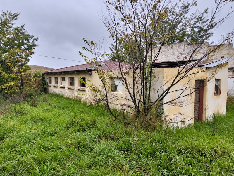 Rear view of a commercial structure showing significant exterior deterioration, including damaged roof sheeting, weathered plaster, and missing window components.