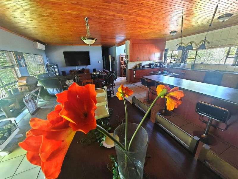 Spacious open-plan living and kitchen area featuring a warm timber ceiling, tiled flooring, and a functional kitchen island with breakfast bar seating.