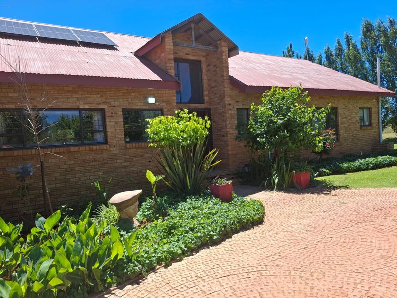 Front elevation of a face brick farm house featuring a corrugated metal roof, solar panels, and a paved driveway entrance.