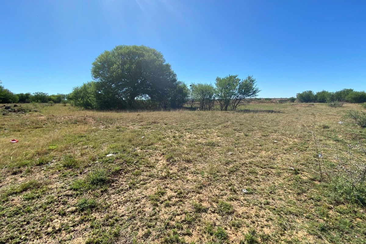 A wide-angle view of a vacant residential plot featuring natural grassland and mature trees under a clear blue sky.