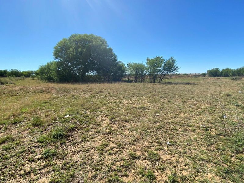 A wide-angle view of a vacant residential plot featuring natural grassland and mature trees under a clear blue sky.