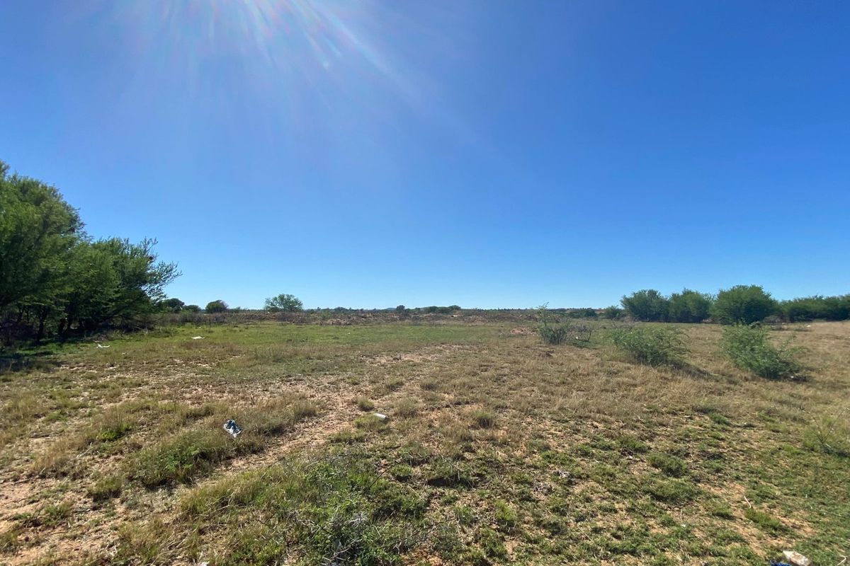 A wide-angle view of a vacant residential plot featuring natural grass and native shrubbery under a clear blue sky.