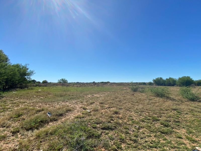 A wide-angle view of a vacant residential plot featuring natural grass and native shrubbery under a clear blue sky.