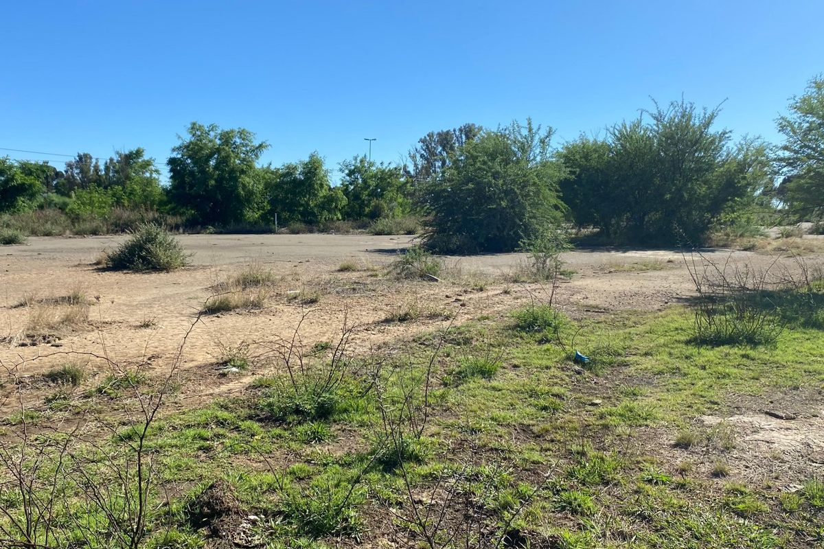 A vacant residential plot featuring cleared land, established trees, and natural grassland, offering a blank canvas for future development.
