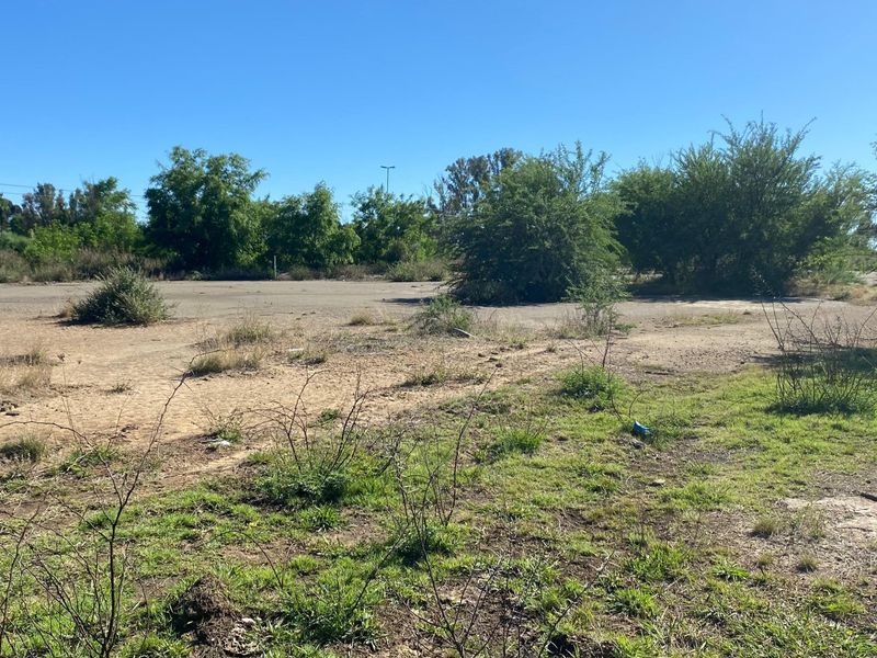 A vacant residential plot featuring cleared land, established trees, and natural grassland, offering a blank canvas for future development.