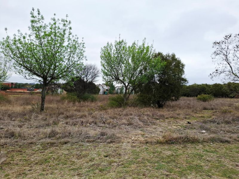 A view of a vacant residential plot featuring natural vegetation and mature trees, offering a blank canvas for future development.
