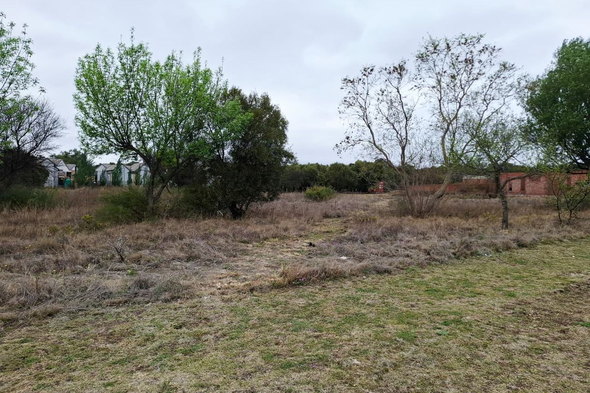 A view of a vacant residential plot featuring natural grassland and mature trees, offering a blank canvas for future development.