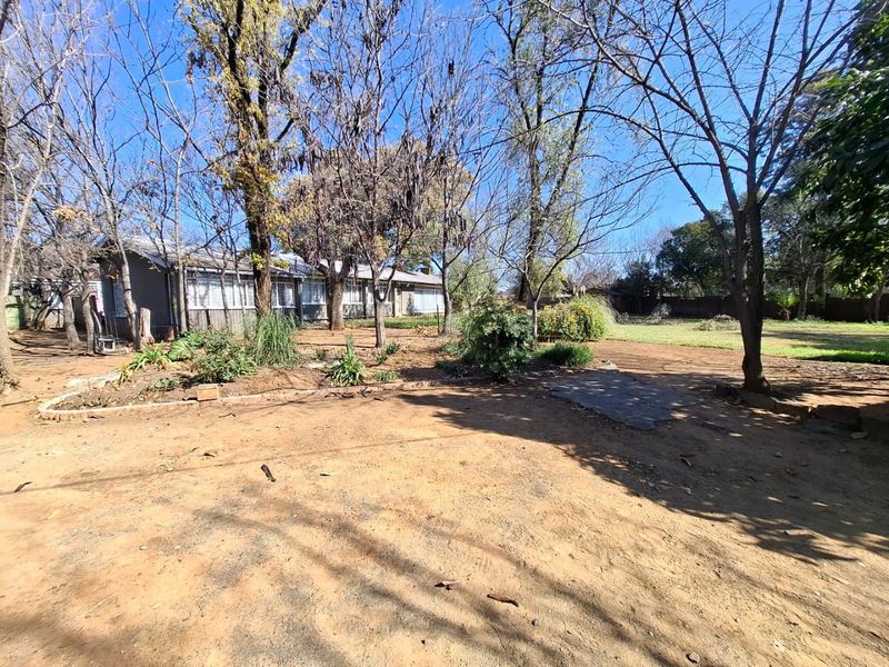 A spacious rear garden area featuring mature trees and established landscaping, offering significant potential for outdoor development and garden improvement.