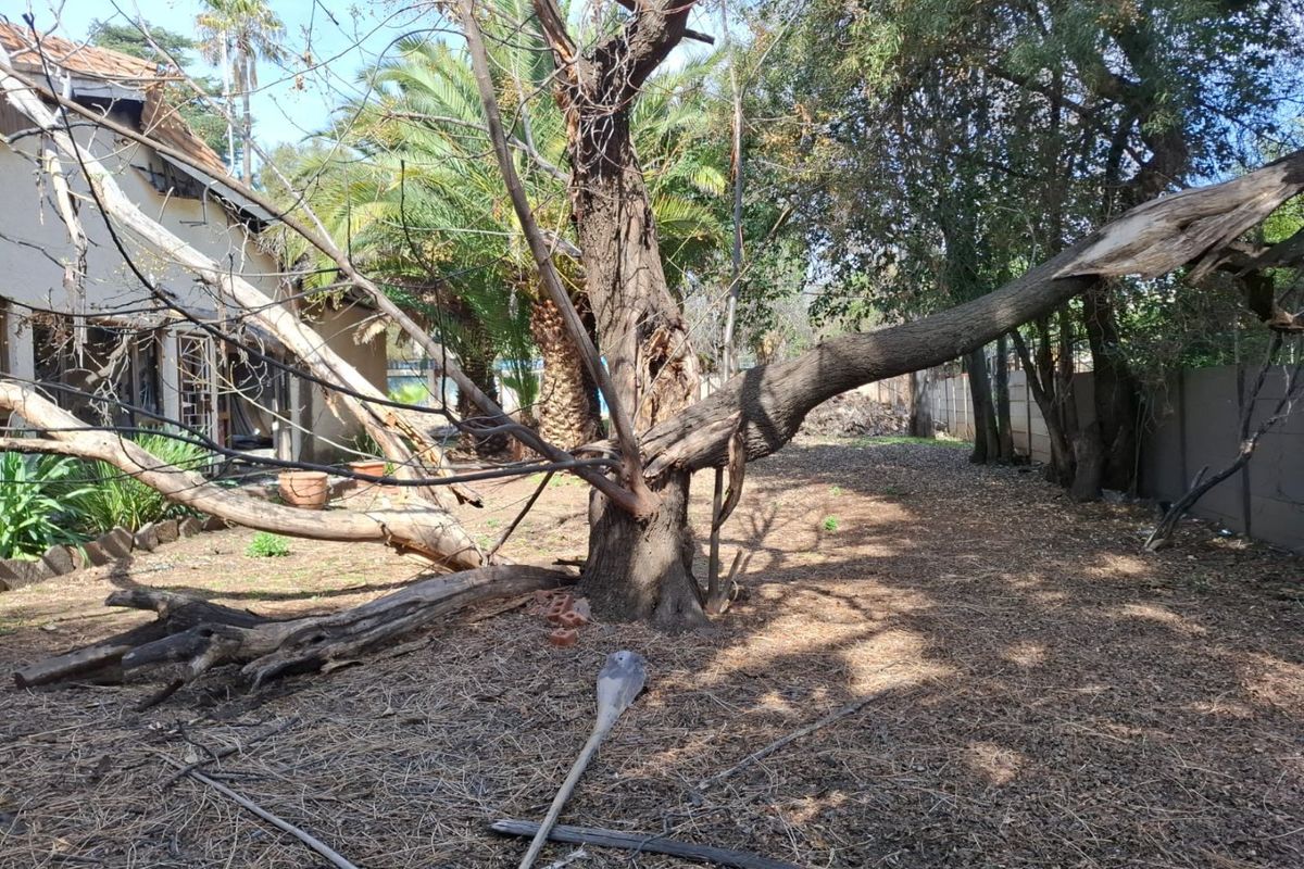 A rear garden area featuring mature trees and perimeter walling, currently requiring significant landscaping and debris removal to restore the outdoor space.