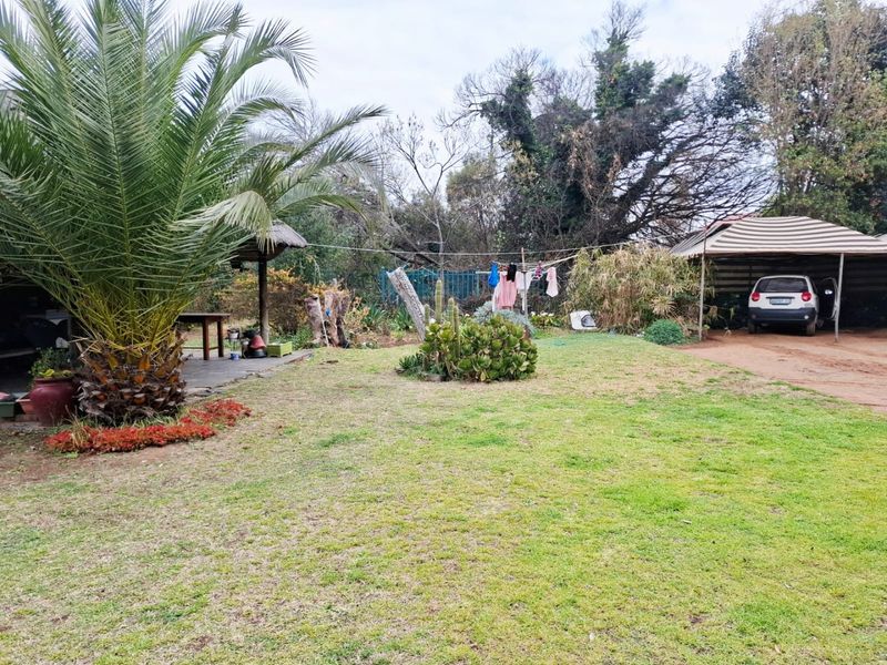 A spacious backyard featuring a well-maintained lawn, established palm tree, garden beds, and a covered carport area.