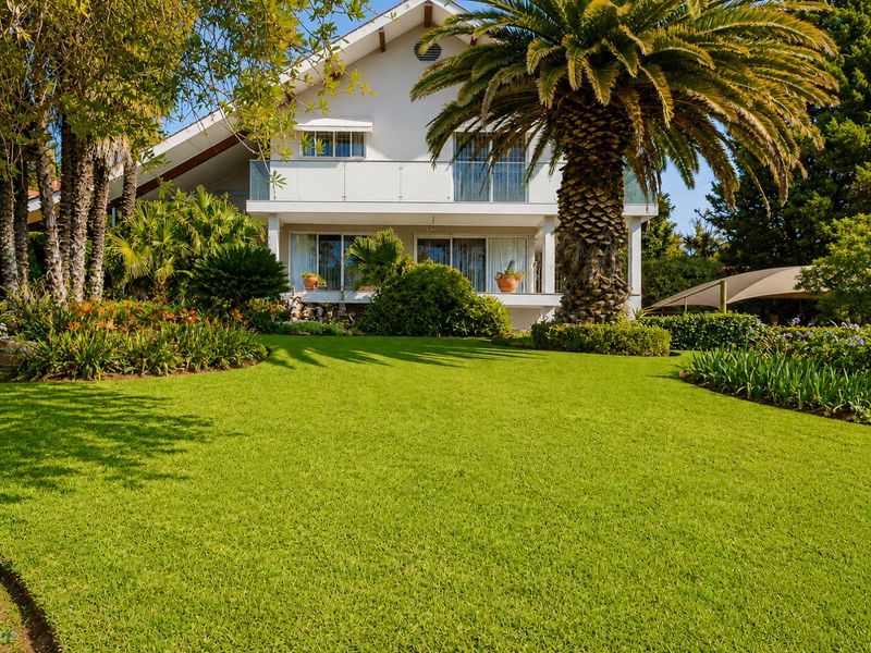 A well-maintained rear garden featuring a lush lawn, mature palm tree, and a multi-level house with glass balustrades and sliding door access.