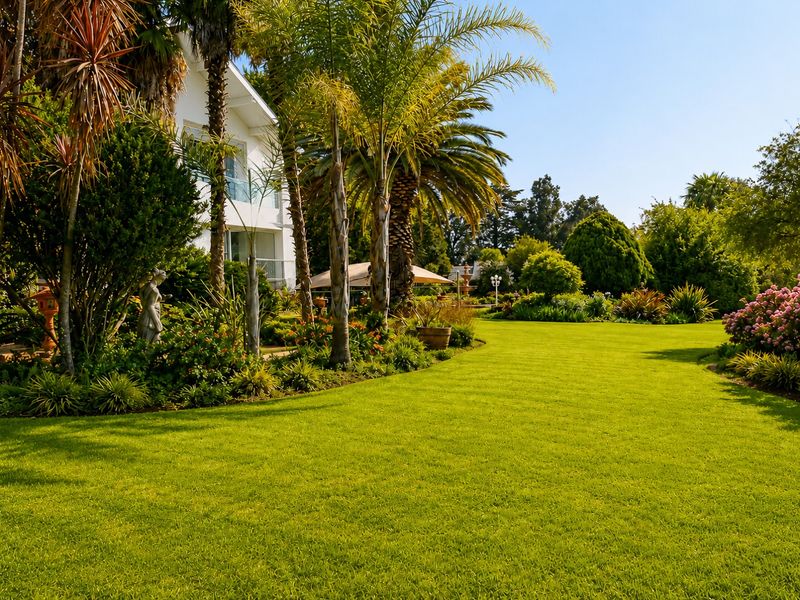 A beautifully maintained, expansive garden featuring lush green lawns, mature palm trees, and established landscaping surrounding the side of the residence.