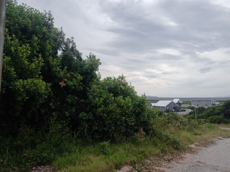 A view of a vacant residential plot featuring dense native vegetation and access to an unpaved road, with neighboring properties visible in the distance.