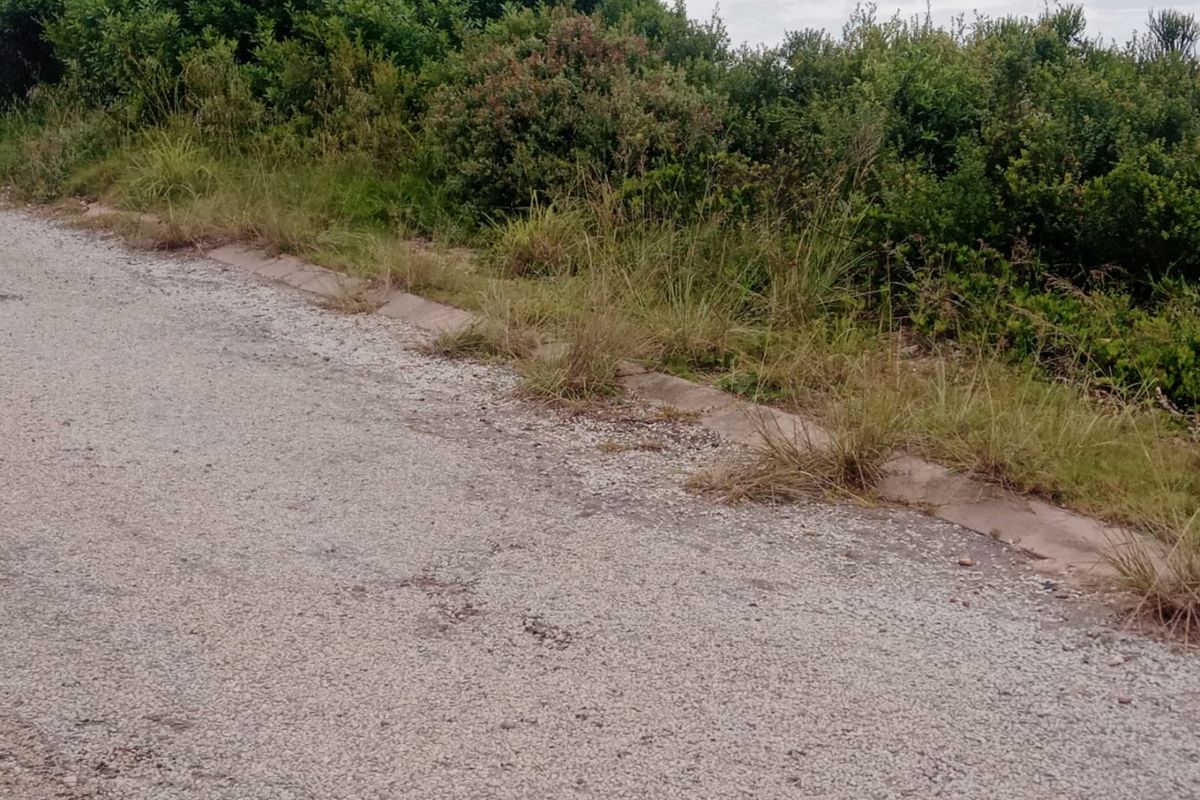 A view of the gravel road frontage showing concrete curbing and overgrown vegetation along the verge.